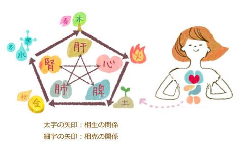 皮膚五行|めざせ！「五行美人」～五行のタイプ別ケア～